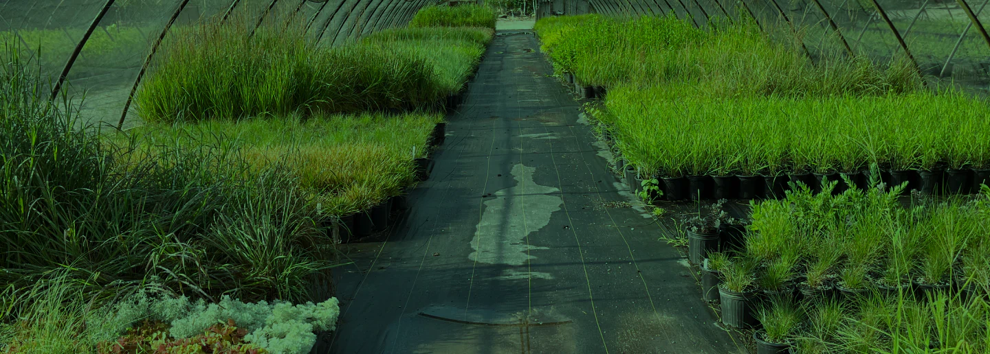 greenhouse walkway