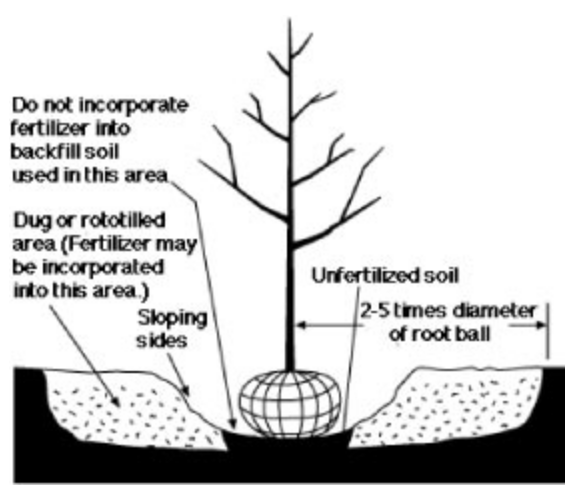 Fertilizing